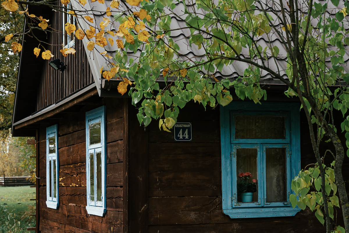 House details of the village of Kruszyniany, Poland