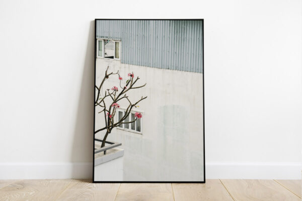 Print of a minimal wall with a frangipani tree in the foreground