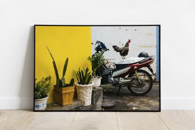 Print of a rooster on the top of a motorcycle in the narrow streets of Ho Chi Minh